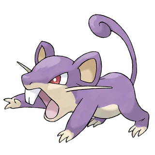 Rattata