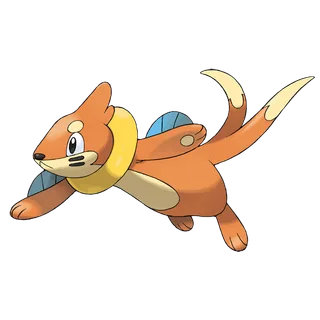Buizel