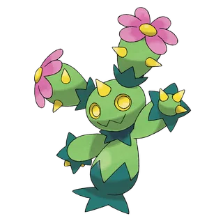 Maractus