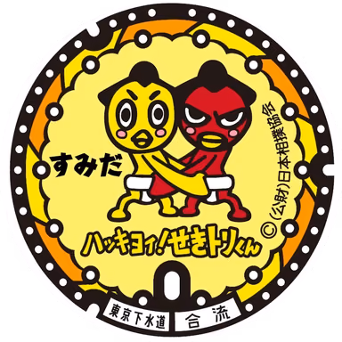 Sumida Design Manhole 001 — Yokoami 1-chome 3-ban, Sumida, Tokyo