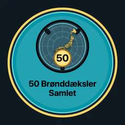 50 brønddæksler samlet