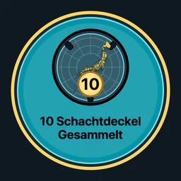 10 Schachtdeckel gesammelt