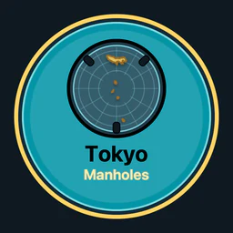 Tokyo Covers Collected