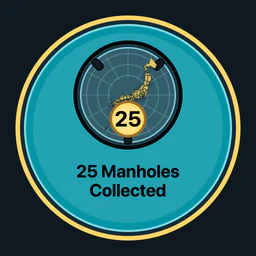 25 Manholes Collected