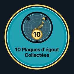 10 plaques collectées