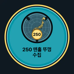 맨홀 뚜껑 250개 수집