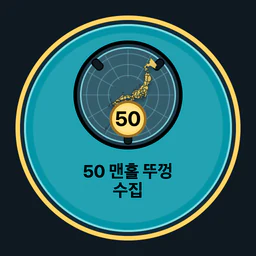 맨홀 뚜껑 50개 수집