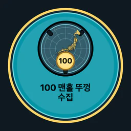 맨홀 뚜껑 100개 수집