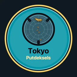 Tokyo · putdeksels