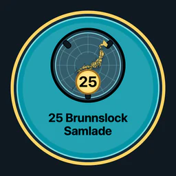 25 brunnslock samlade