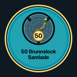50 brunnslock samlade
