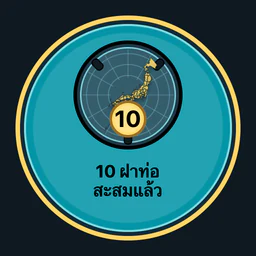 สะสมฝาท่อ 10 ฝา