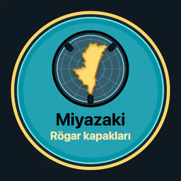 Miyazaki · rögar kapakları