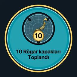 10 rögar kapağı toplandı