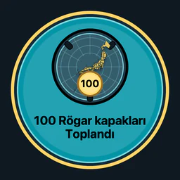 100 rögar kapağı toplandı