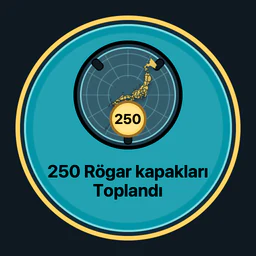 250 rögar kapağı toplandı