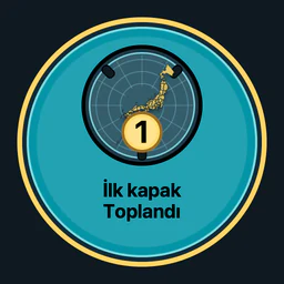 İlk rögar kapağı toplandı