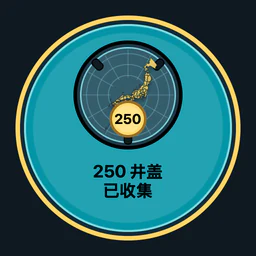 收集 250 个井盖