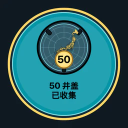 收集 50 个井盖