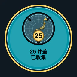 收集 25 个井盖