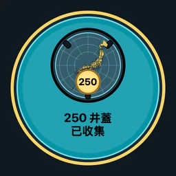 收集 250 個井蓋