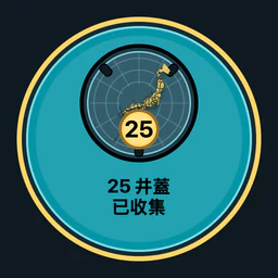 收集 25 個井蓋